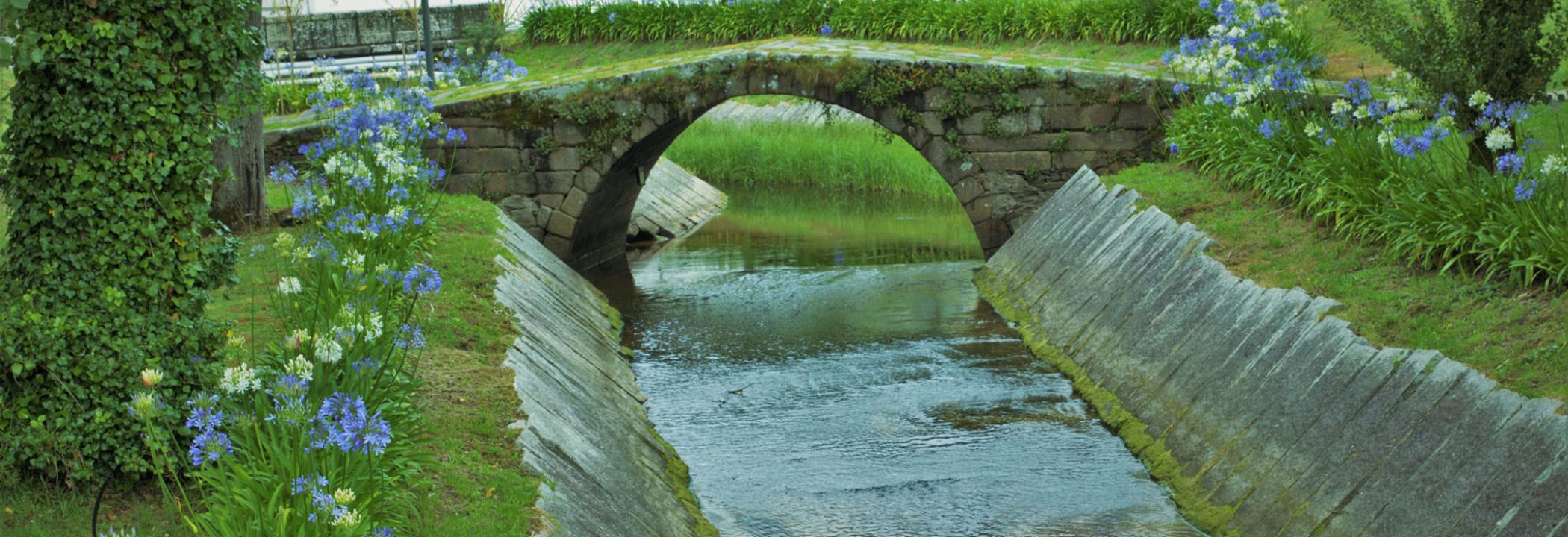 Ares Verde - Puente de la Ciscada
